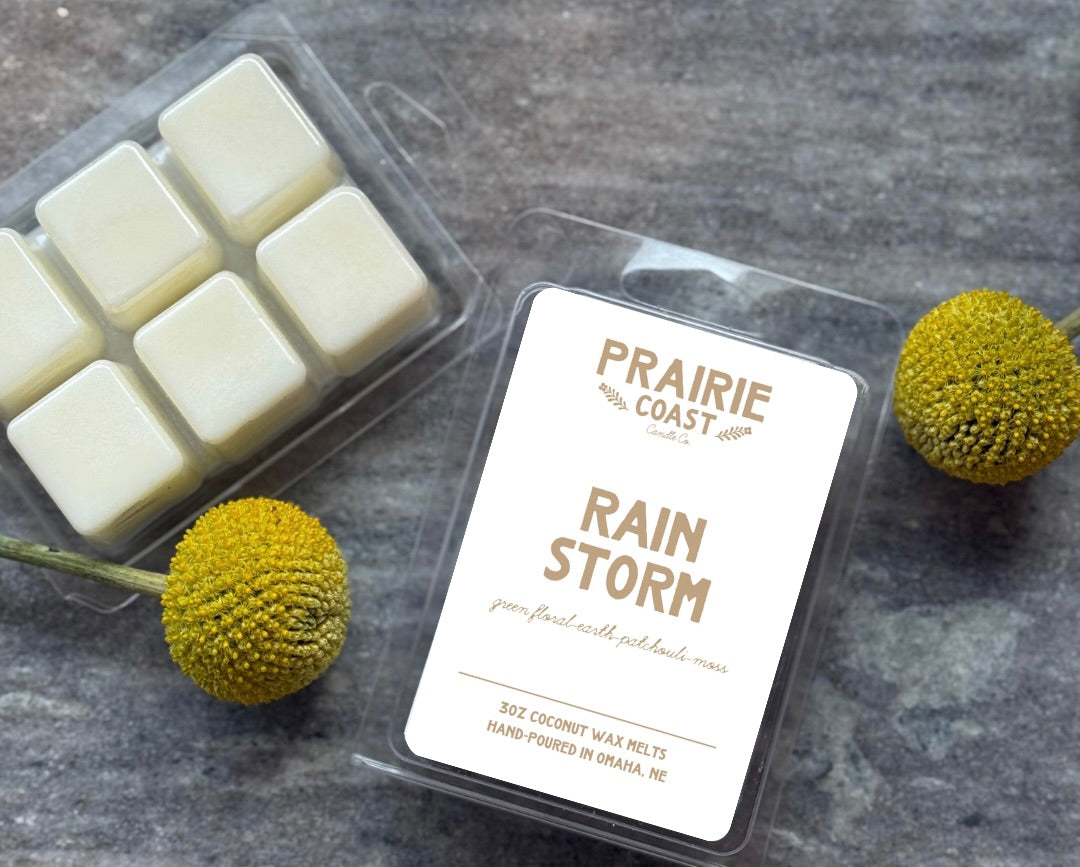 Rain Storm- Wax Melts