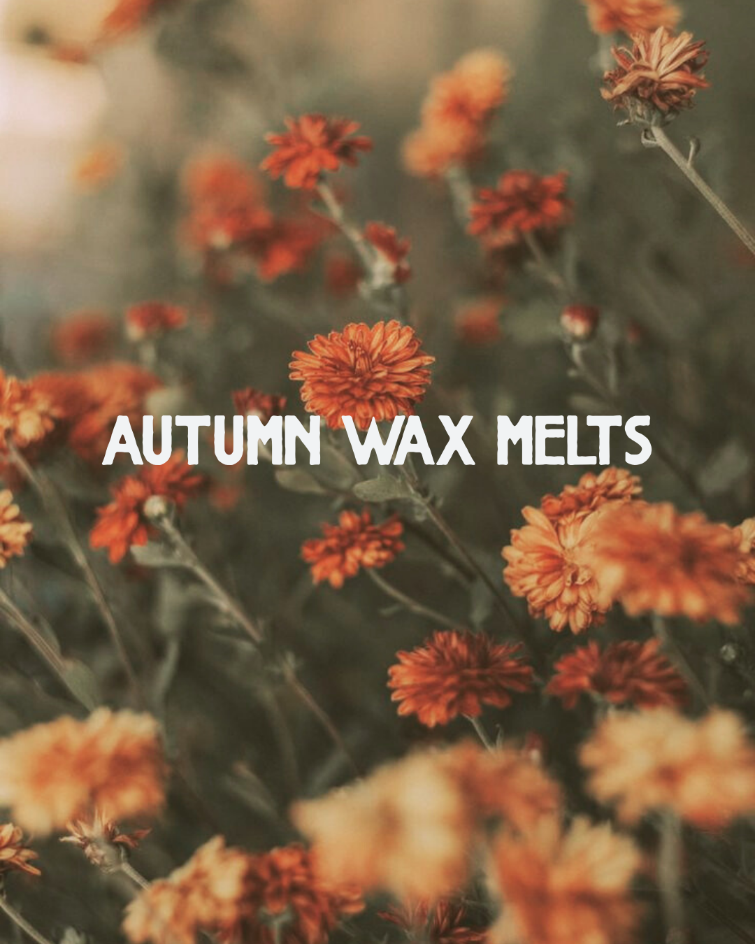 Cottage Mornings- Wax Melts (3oz)