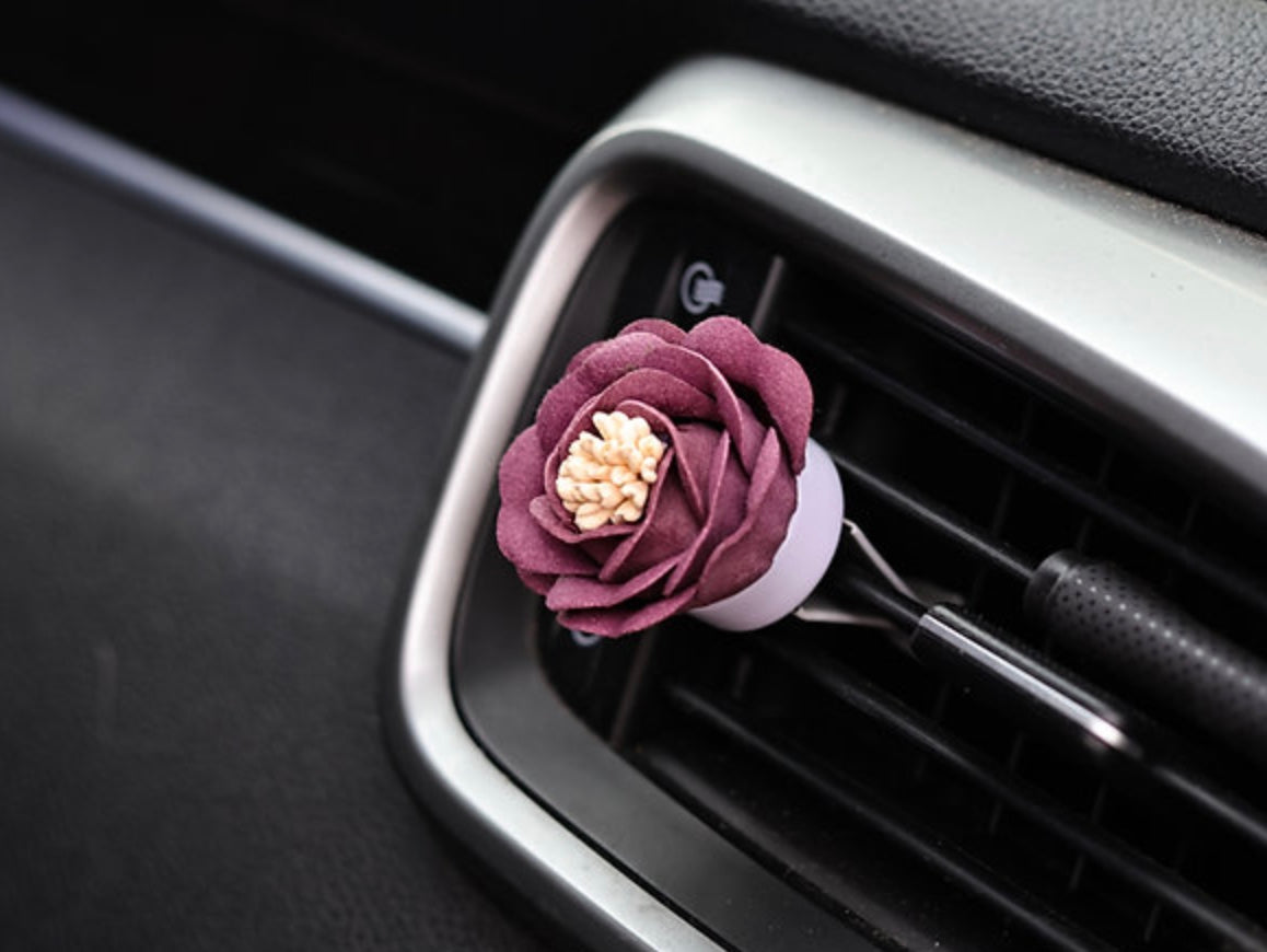 Car Diffusers