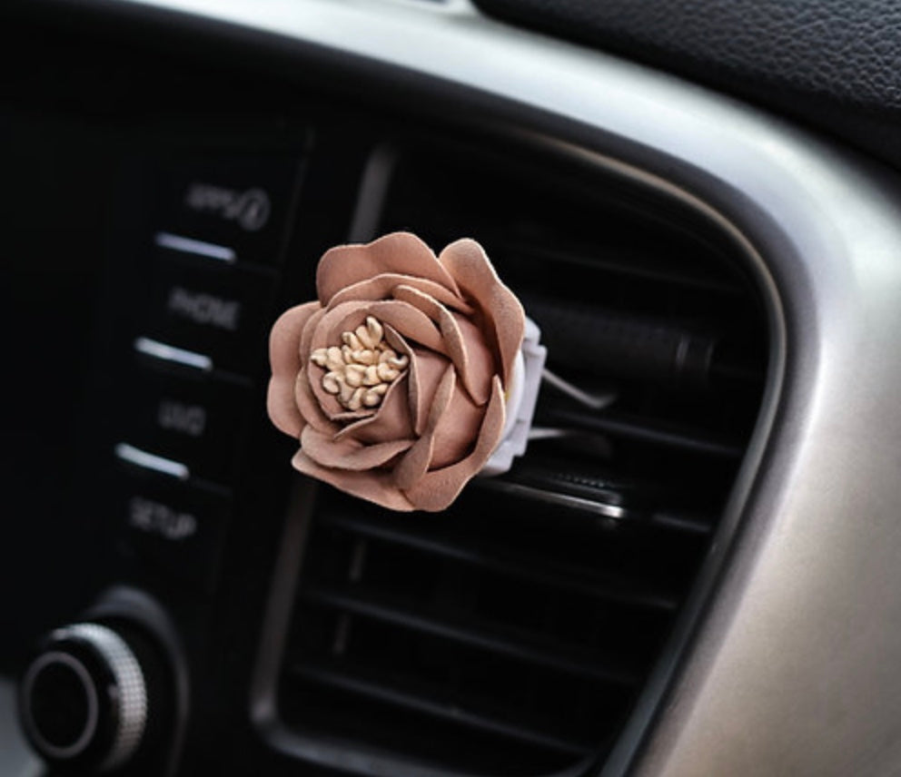 Car Diffusers